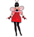 "COCCINELLE" (robe, brassards, ailes, antennes) image 1