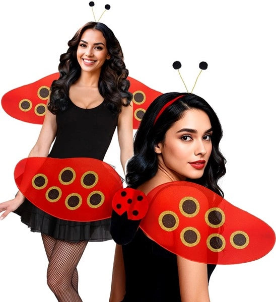 Set de "COCCINELLE" ailes, antennes image 1