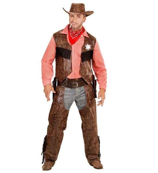 COW BOY image 1
