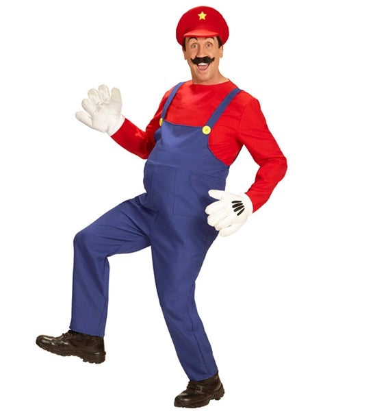 MARIO image 0